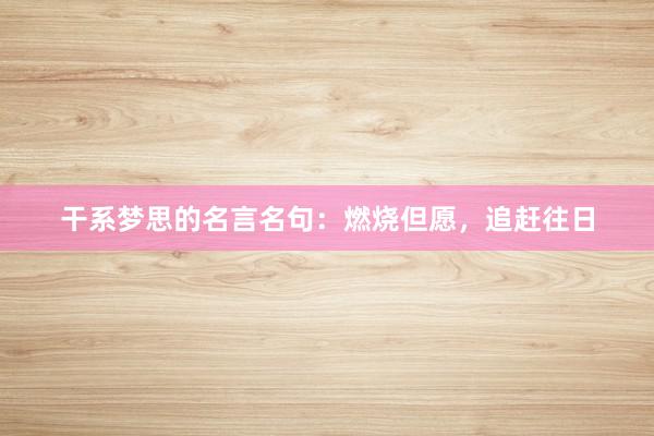 干系梦思的名言名句：燃烧但愿，追赶往日