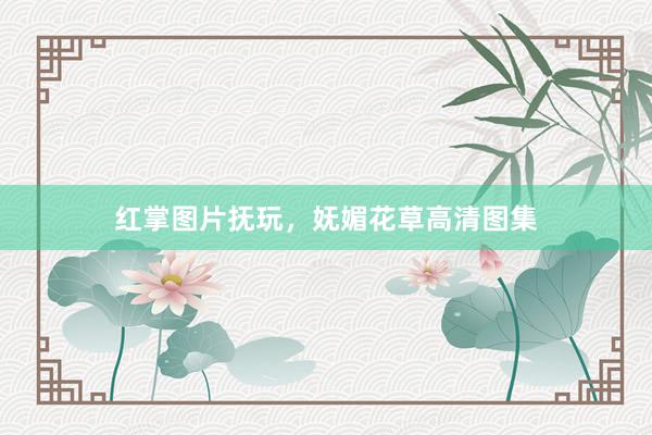 红掌图片抚玩,妩媚花草高清图集